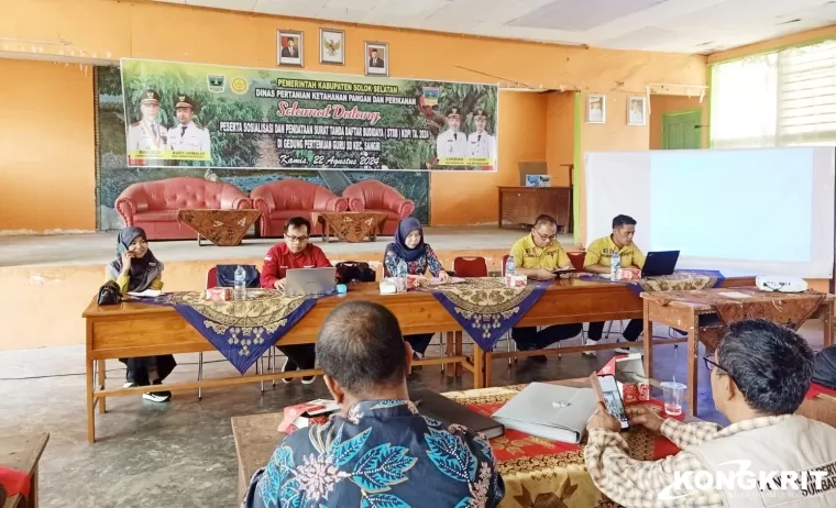 Solok Selatan, Sentra Perkebunan Kopi Terluas Kedua di Sumatera Barat