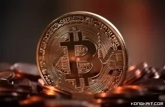 Pasar Crypto Bergolak, Bitcoin dan Pepe Melambung (Foto: Dok.Istimewa)