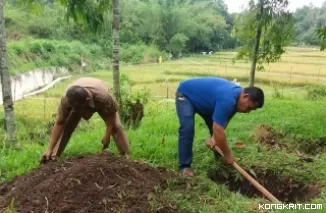 Biopori di Taman Bidadari, Langkah DLH Kota Solok Atasi Banjir dan Olah Sampah (Foto: Dok.Istimewa)