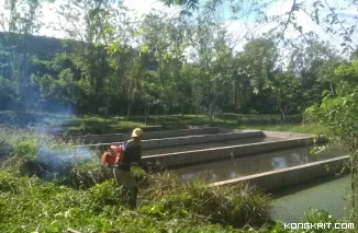 Jelang Penilaian Adipura 2024, DLH Solok Berbenah di Kolam Lindi dan TPA (Foto: Dok.Istimewa)