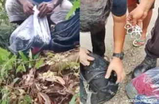 Polisi Temukan Petunjuk Baru dalam Kasus Pembunuhan Nia Kurnia Sari, Tas Hingga Senjata Milik Terduga Pelaku Ditemukan (Foto: Dok.Istimewa)