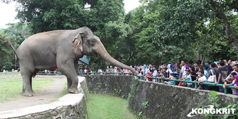 5 Kebun Binatang Paling Menarik Di Jawa Timur untuk Dikunjungi!&quot;