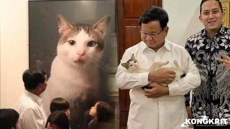 Kucing Bobby Kertanegara, Kesayangan Prabowo Subianto yang Kembali Viral