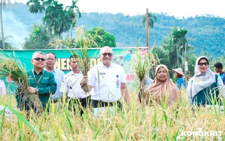 Pj Wali Kota Padang Andree Algamar Hadiri Panen Padi di Kuranji, Dorong Semangat Ketahanan Pangan