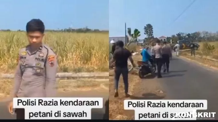 Viral Video Polisi Tengah Razia di Area Sawah di Yogyakarta, Picu Reaksi dari Sejumlah Warganet