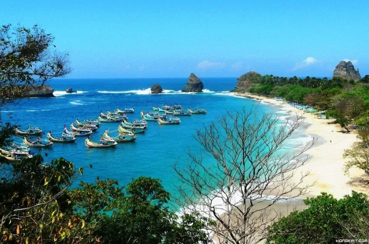 Pantai Watu Ulo, Jember