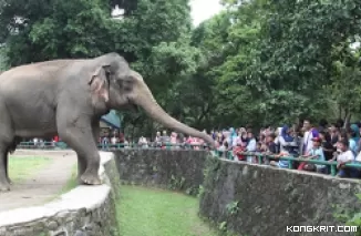 5 Kebun Binatang Paling Menarik Di Jawa Timur untuk Dikunjungi!"