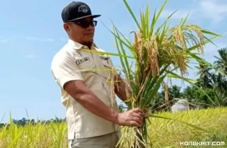 Yurisman, Plt. Kepala Dinas Pertanian dan Ketahanan Pangan Padang Pariaman