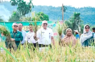 Pj Wali Kota Padang Andree Algamar Hadiri Panen Padi di Kuranji, Dorong Semangat Ketahanan Pangan