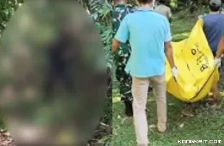 Tersangka Korupsi Lahan Tol Padang - Pekanbaru Ditemukan Tewas Tergantung di Dalam Hutan