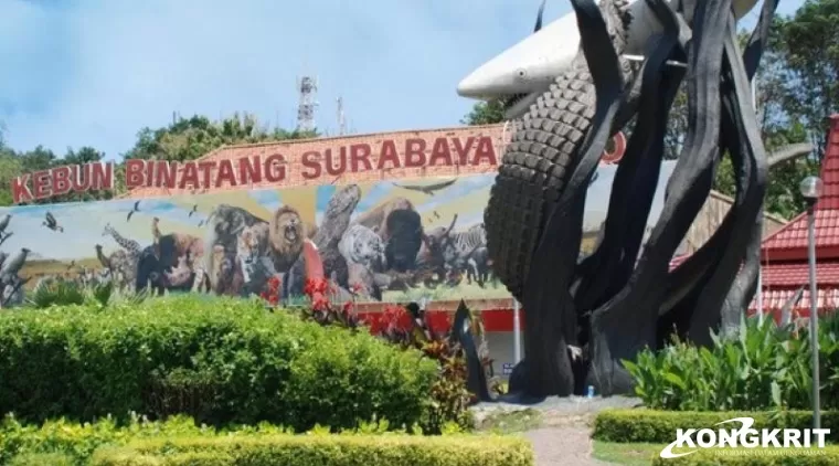 Jelajahi Keindahan KBS, Destinasi Wisata Edukasi dan Rekreasi di Surabaya (Foto: Dok.Istimewa)