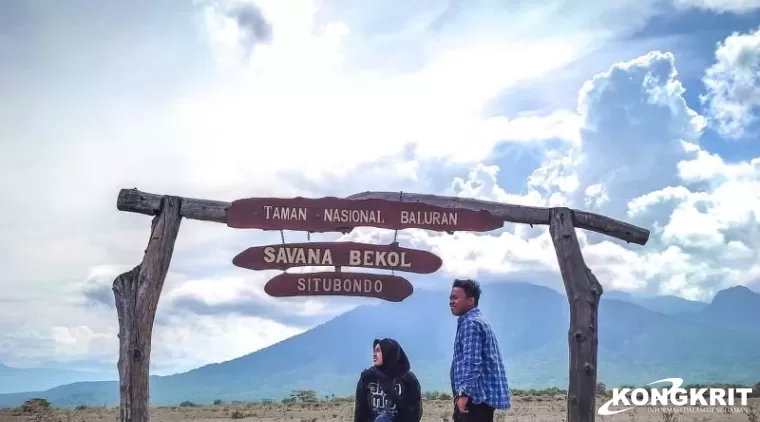 Menjelajahi Little Africa di Baluran dan Serunya Menginap di Villa Solong