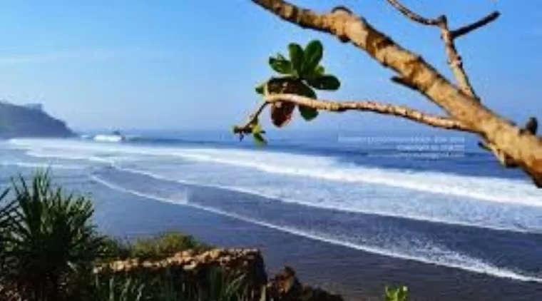 Pantai Pasetran Gondomayit, Pesona Tersembunyi di Ujung Blitar