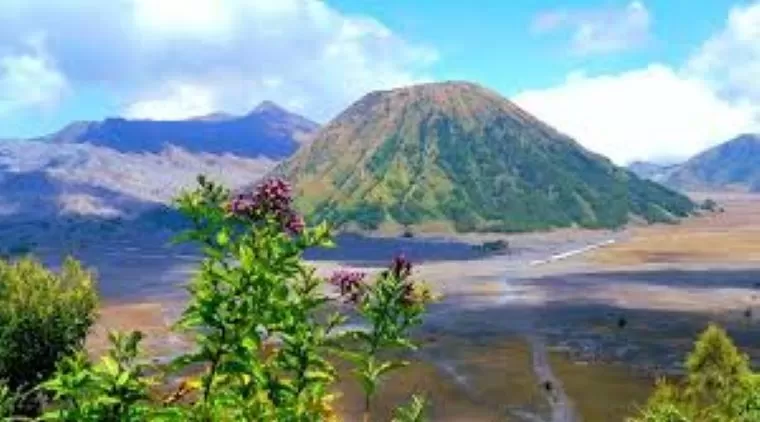 Trip Wisata Gunung Bromo 2024 Pemandangan Epik &amp; Tips Kunjungan