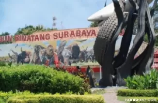 Jelajahi Keindahan KBS, Destinasi Wisata Edukasi dan Rekreasi di Surabaya (Foto: Dok.Istimewa)