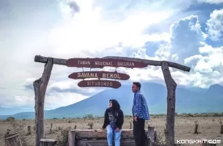 Menjelajahi Little Africa di Baluran dan Serunya Menginap di Villa Solong