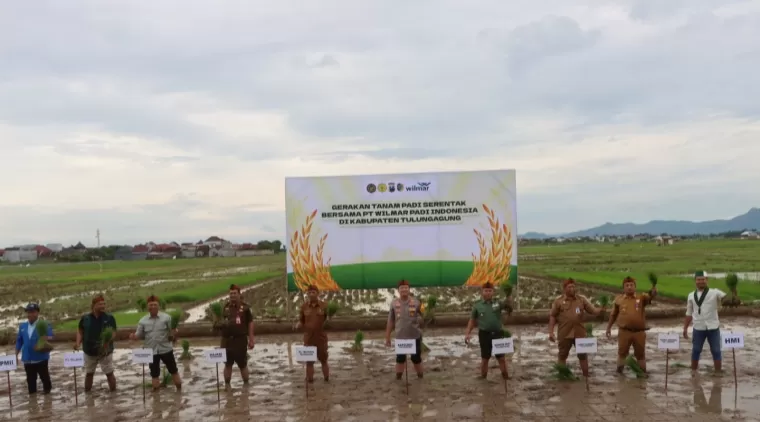 Kapolres Tulungagung bersama perwakilan Forkopimda saat tanam padi serentak di desa Jarakan