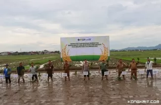 Kapolres Tulungagung bersama perwakilan Forkopimda saat tanam padi serentak di desa Jarakan