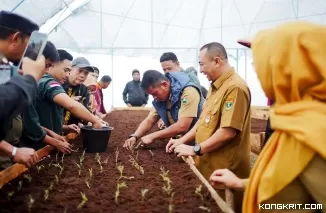 Wabup Jon Firman Pandu Kunjungi Tempat Pembibitan Kentang Berbasis Smart Farming di Air Dingin