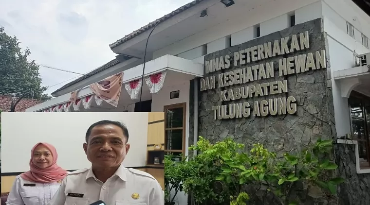 Kepala Disnakkeswan Kabupaten Tulungagung, Mulyanto didampingi Kabid Kesehatan Hewan, drh. Tutus Sumaryani