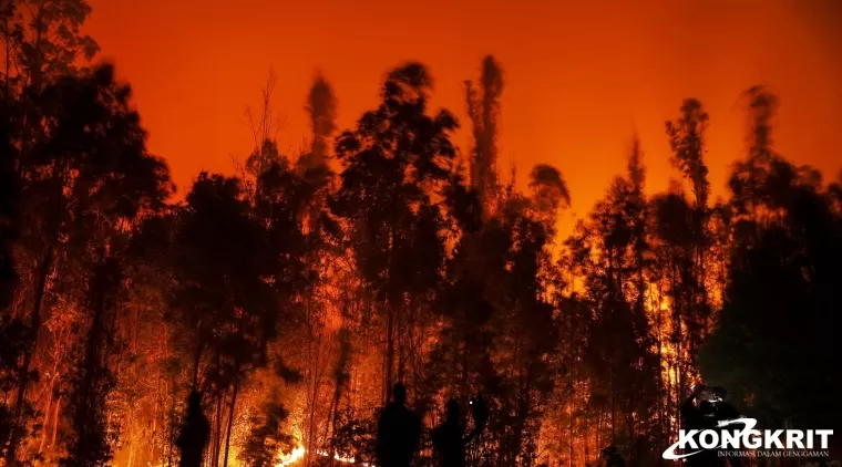 Kerugian Akibat Kebakaran Hutan di Los Angeles Diperkirakan Capai Rp810 Triliun