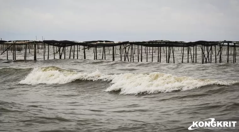 MUI Banten Belum Dapat Informasi Soal Pagar Laut di Tangerang, Tetap Dukung PSN di PIK 2