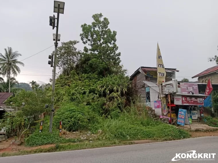 Kenangan Sekolah Menyenangkan di Bukit Hijau Pinggir Jalan