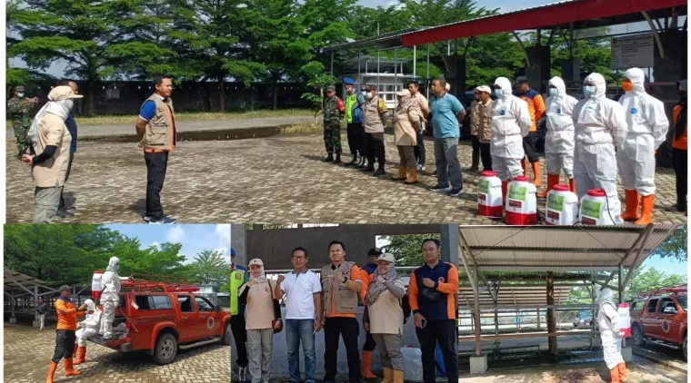 BPBD bersama Disnakkeswan, Disperindag Tulungagung laksanakan penyemprotan disinfektan di pasar hewan terpadu Tulungagung