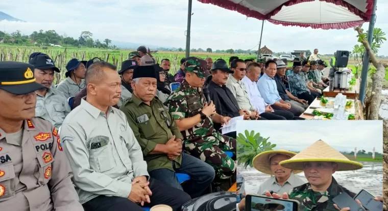 Kodim 0807 bersama Pemkab Tulungagung laksanakan penanaman demplot padi di Desa Ngantru (Insert : Dandim 0807 Letkol Kav Mohammad Nashir S. Hub.Int)