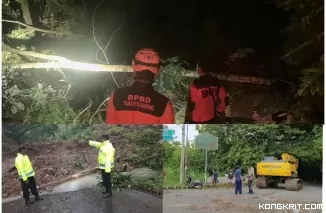 Petugas BPBD Tulungagung dan Polsek Pagerwojo saat meninjau lokasi longsor