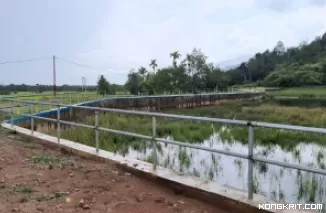 Embung Batu Anyuik di Kabupaten Solok Selatan dipenuhi sedimen