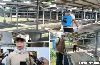 Petugas Disnakkeswan Tulungagung melakukan penyemprotan disinfektan di Pasar Hewan Terpadu (Insert : Kabid Kesehatan Hewan Tulungagung, drg. Tutus Sumaryani)