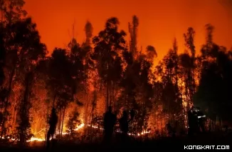 Kerugian Akibat Kebakaran Hutan di Los Angeles Diperkirakan Capai Rp810 Triliun