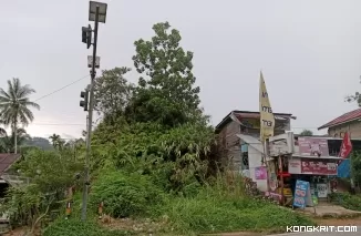 Kenangan Sekolah Menyenangkan di Bukit Hijau Pinggir Jalan