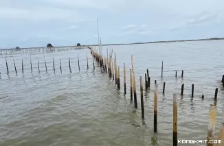 TNI AL Mulai Bongkar Pagar Laut di Tangerang, Menteri Trenggono Masih Cari Pemiliknya