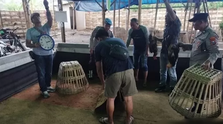 Polisi Tulungagung saat mengamankan sejumlah peralatan yang akan digunakan untuk perjudian sabung ayam