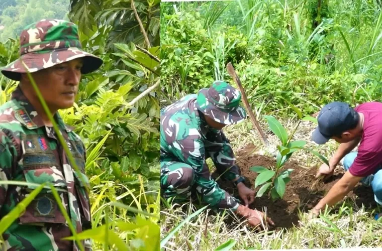 Keterangan foto: Danramil 0807/17 Sendang, Kapten Bambang Supanidi saat meninjau penanaman pohon buah di Desa Nglurup