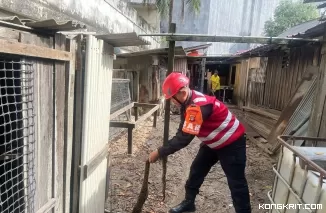 Brimob Kaltim Evakuasi Ular Piton Masuk Kandang Rumah Warga di Balikpapan