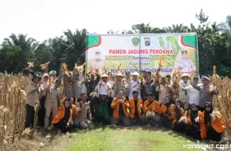 Forkopimda Penajam Paser Utara Gelar Panen Perdana Jagung dalam Upaya Perkuat Ketahanan Pangan