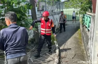 Pohon Lapuk Tumbang Timpa Rumah Warga di Klandasan Balikpapan, Brimob Sigap Evakuasi