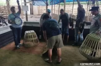 Polisi Tulungagung saat mengamankan sejumlah peralatan yang akan digunakan untuk perjudian sabung ayam