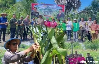 Polres Nagekeo Gelar Panen Raya Jagung Serentak Tahap I, Dukung Swasembada Pangan 2025