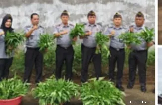 Lapas Kelas II B Lubuk Basung Panen Perdana Kangkung, Dukung Ketahanan Pangan