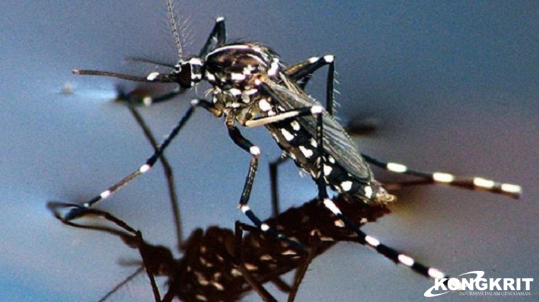 5 Tips Ampuh Menyingkirkan Nyamuk di Kamar Mandi. (Foto : Dok. Istimewa)