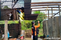 Petugas BPBD saat melakukan pendataan kerusakan rumah warga pasca terjadinya angin puting beliung