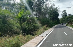 Ruas jalan Simpang Tiga Benai - Kampung Tongah di Kecamatan Mapattunggul, Kabupaten Pasaman