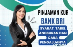 Ilustrasi Pinjaman KUR Bank BRI