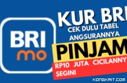 Ilustrasi Pinjaman KUR Bank BRI