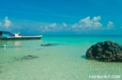 Pantai Tureloto, Menikmati Keindahan Batu Otak dan Sensasi 'Laut Mati Indonesia. (Foto : Dok. Istimewa)