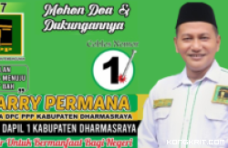 Harry Permana, Caleg DPRD Dharmasraya dan Ketua DPC PPP Kabupaten Dharmasraya